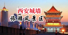 看操小嫩逼免费视频中国陕西-西安城墙旅游风景区